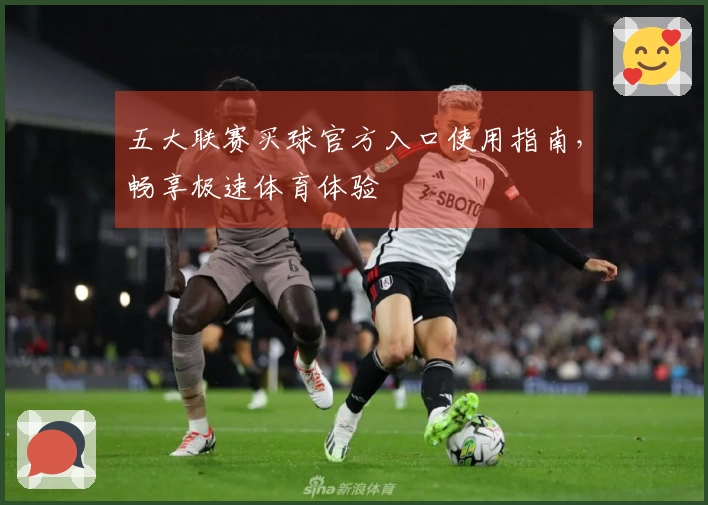 五大联赛买球官方入口使用指南,畅享极速体育体验