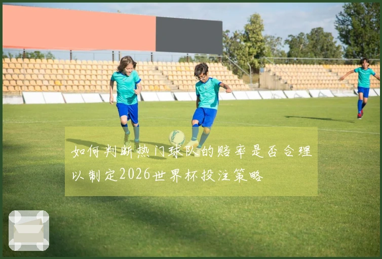 如何判断热门球队的赔率是否合理以制定2026世界杯投注策略