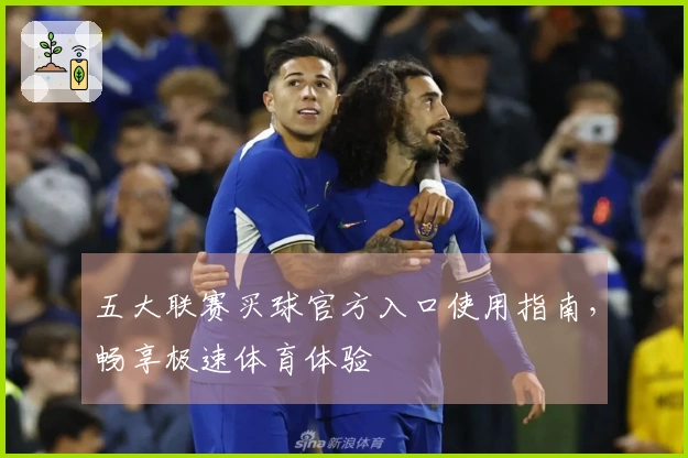 五大联赛买球官方入口使用指南，畅享极速体育体验