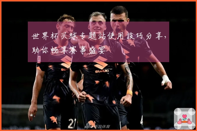 世界杯买球专题站使用技巧分享，助你畅享赛事盛宴