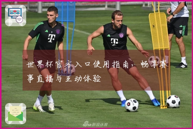 世界杯官方入口使用指南，畅享赛事直播与互动体验