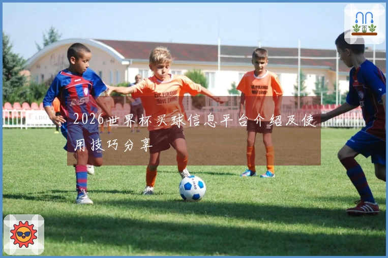 2026世界杯买球信息平台介绍及使用技巧分享