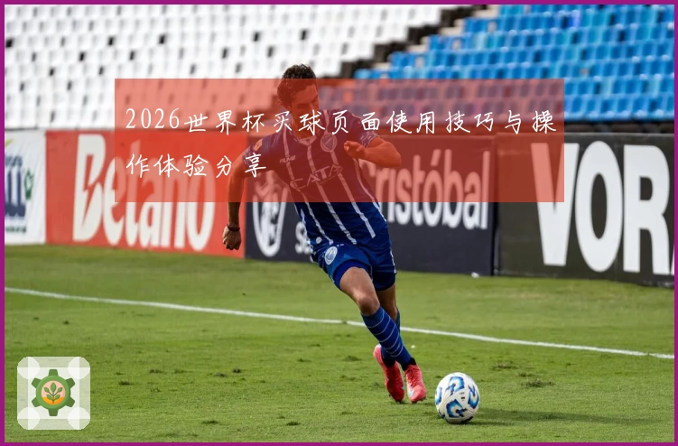 2026世界杯买球页面使用技巧与操作体验分享