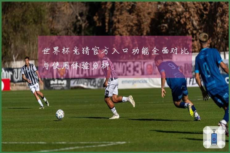 世界杯竞猜官方入口功能全面对比与使用体验分析