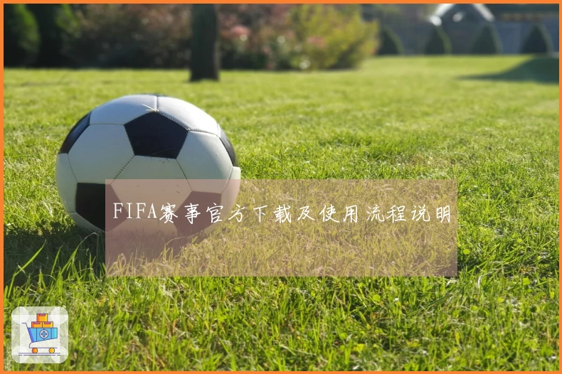 FIFA赛事官方下载及使用流程说明
