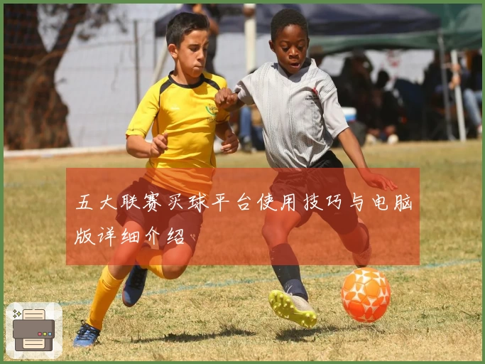 五大联赛买球平台使用技巧与电脑版详细介绍