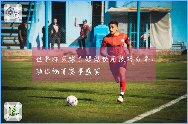 世界杯买球专题站使用技巧分享，助你畅享赛事盛宴