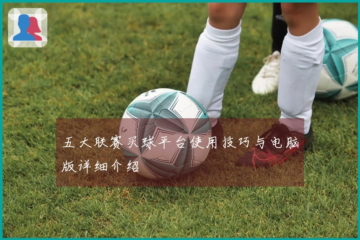 五大联赛买球平台使用技巧与电脑版详细介绍