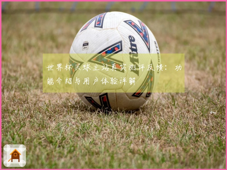 世界杯买球主站真实测评反馈：功能介绍与用户体验详解