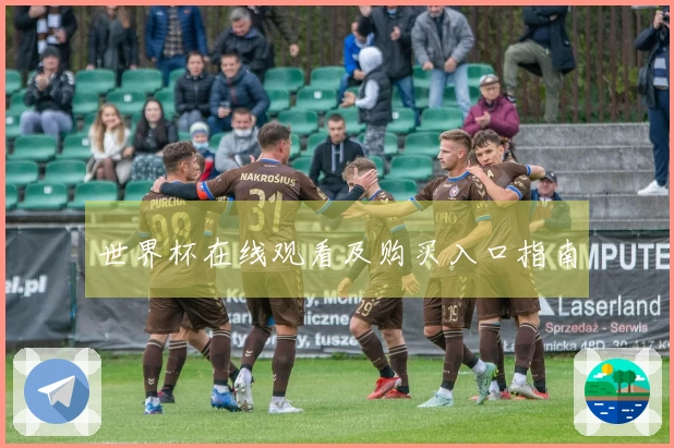 世界杯在线观看及购买入口指南